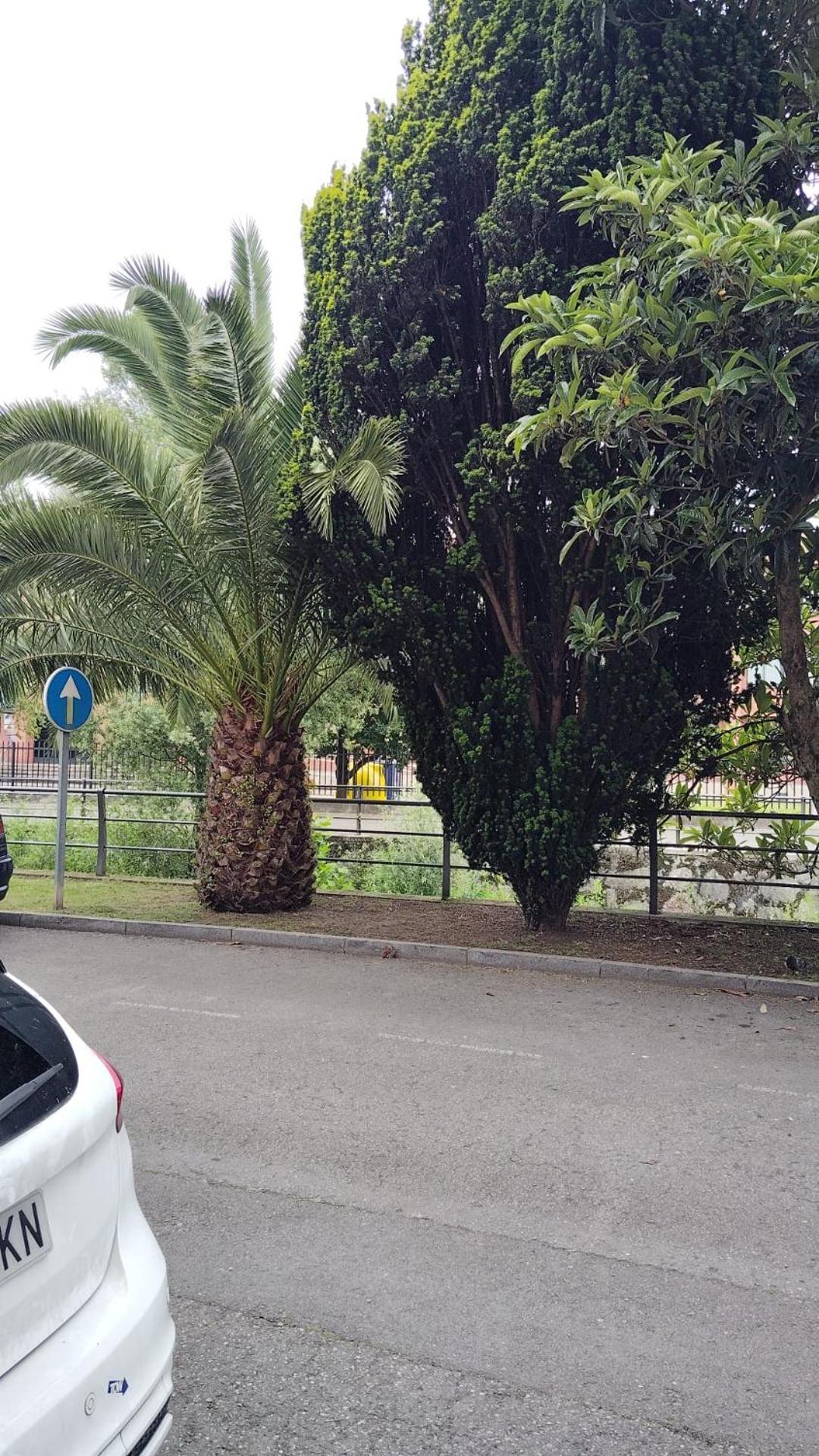 El Caudalin De Mieres Apartment Mieres  Luaran gambar